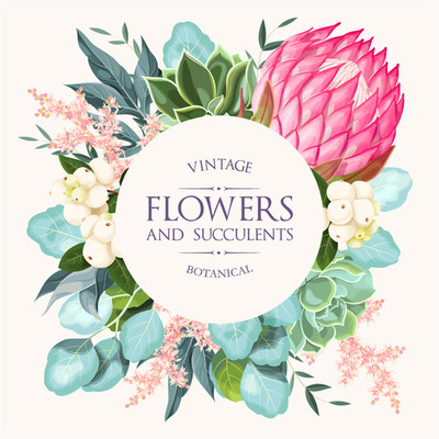 花卉与多肉植物的魅力与养护指南