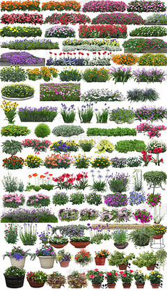 园林景观与家用电器 现代家居美学的新融合