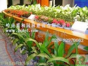 岭南嘉和园林 科学城植物租赁与绿化养护的专业供应商