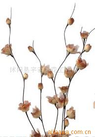 供应叶脉花、龙柳、三叉木、龙桑、芦苇专业指南