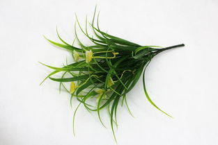 仿真花蝴蝶把花套装 点亮客厅装饰的创意壁挂艺术